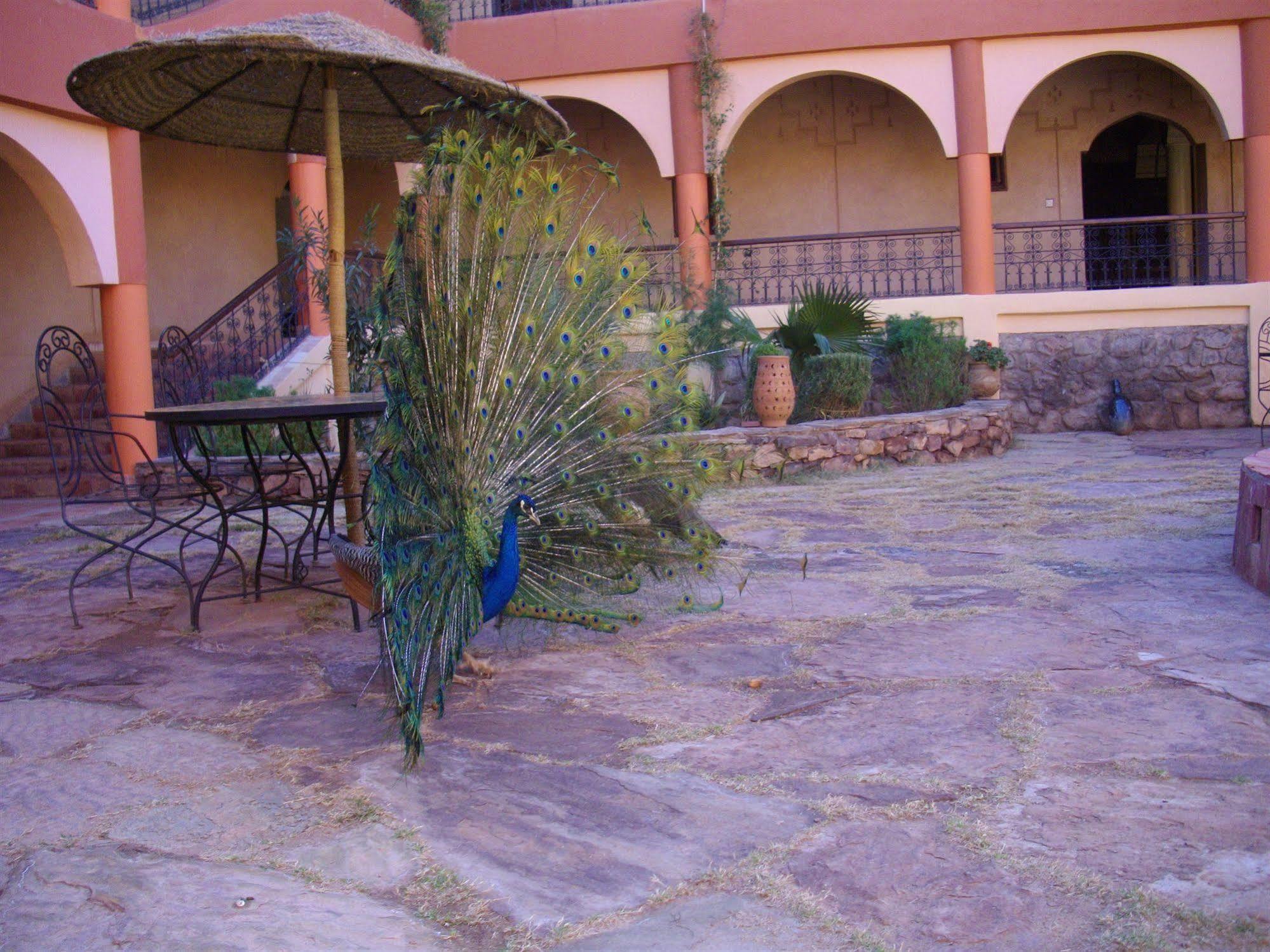 Kasbah Zitoune Tajda Екстер'єр фото